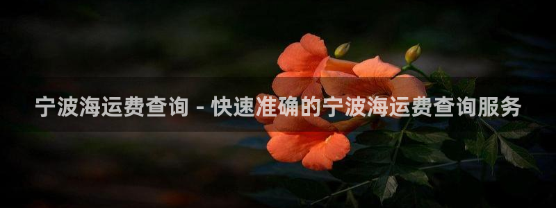 710公海赌赌船有总代理吗