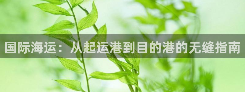 710公海赌赌船有总代理吗