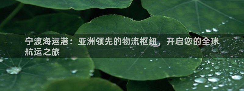 欢迎来到海牛星简谱