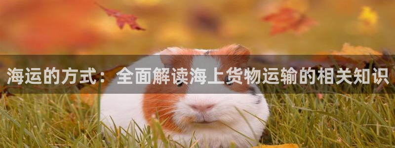 公海赌赌船jcjc710