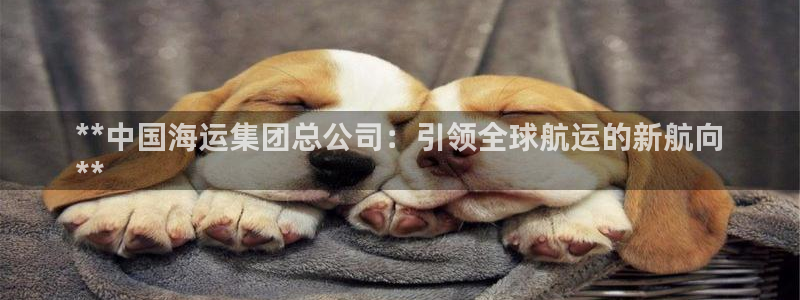 欢迎登船
