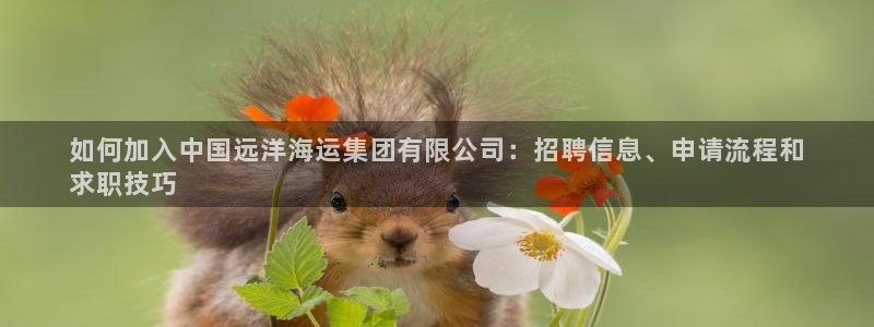 欢迎登船