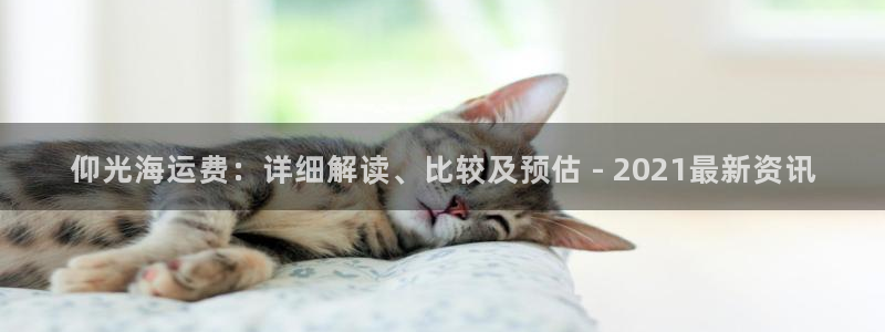 公海 赌船710手机版下载