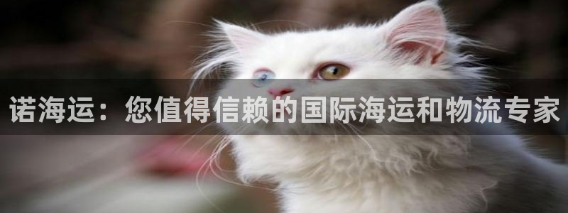 欢迎您来到公海欢迎您来到赌船