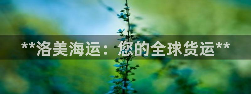 公海赌赌船官网介绍人