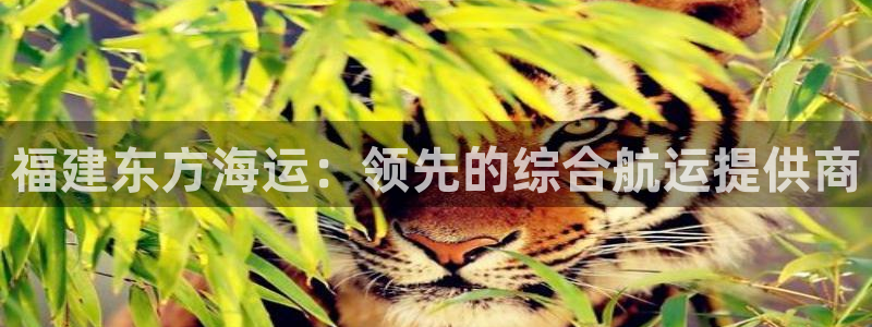 欢迎你来到公海欢迎你来到