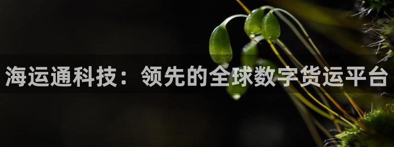 欢迎来到公海欢迎来到赌船710
