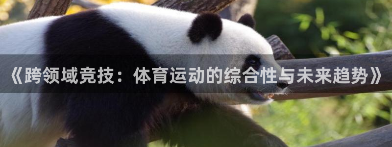 哈哈体育十年：《跨领域竞技：体育运动的综合性与未来趋势》