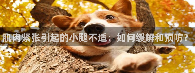 哈哈体育十年：肌肉紧张引起的小腿不适：如何缓解和预防？