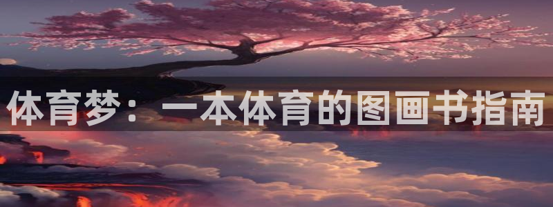 哈哈体育十年：体育梦：一本体育的图画书指南