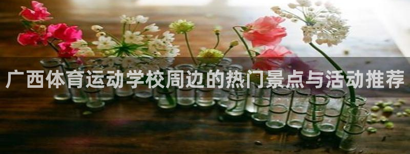 哈哈体育：广西体育运动学校周边的热门景点与活动推荐