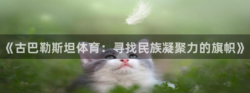 哈哈体育：《古巴勒斯坦体育：寻找民族凝聚力的旗帜》