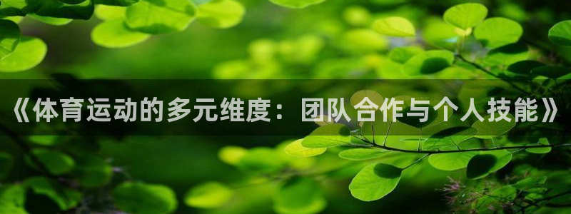 哈哈体育下载：《体育运动的多元维度：团队合作与个人技能》