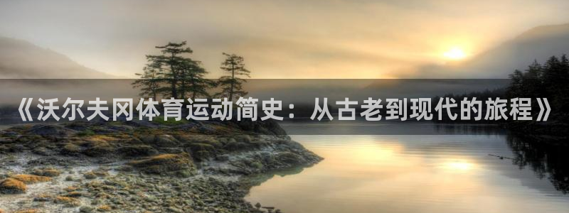 哈哈体育十年：《沃尔夫冈体育运动简史：从古老到现代的旅程》
