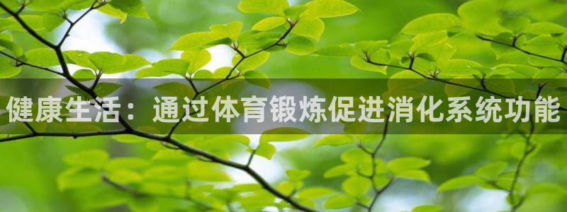 哈哈体育十年：健康生活：通过体育锻炼促进消化系统功能