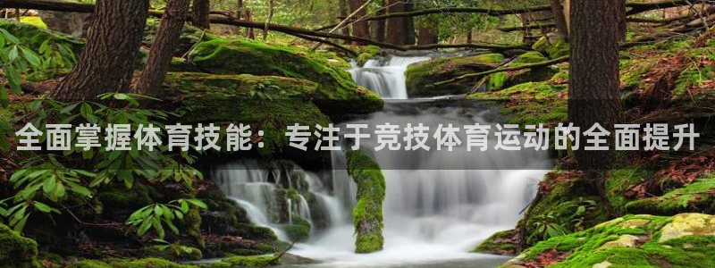 哈哈体育十年：全面掌握体育技能：专注于竞技体育运动的全面提升
