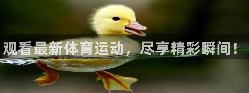 哈哈体育：观看最新体育运动，尽享精彩瞬间！