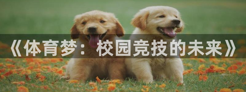 哈哈体育下载：《体育梦：校园竞技的未来》