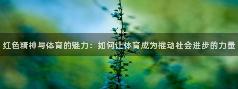 哈哈体育：红色精神与体育的魅力：如何让体育成为推动社会进步的力量
