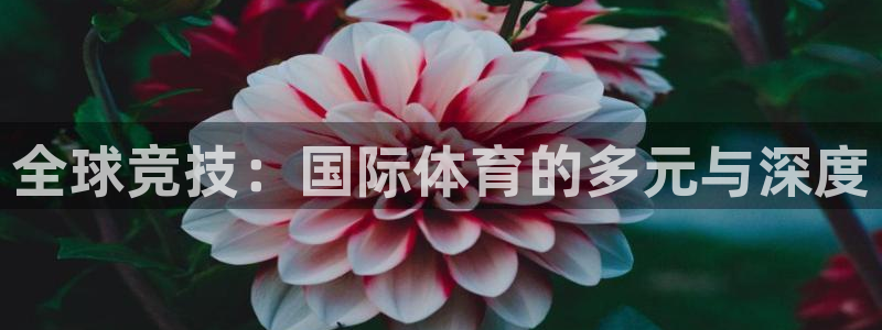 哈哈体育下载：全球竞技：国际体育的多元与深度