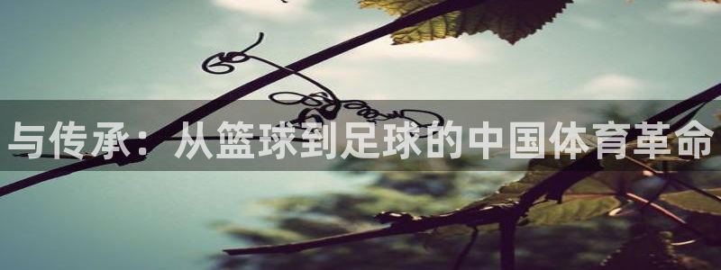 哈哈体育十年：与传承：从篮球到足球的中国体育革命