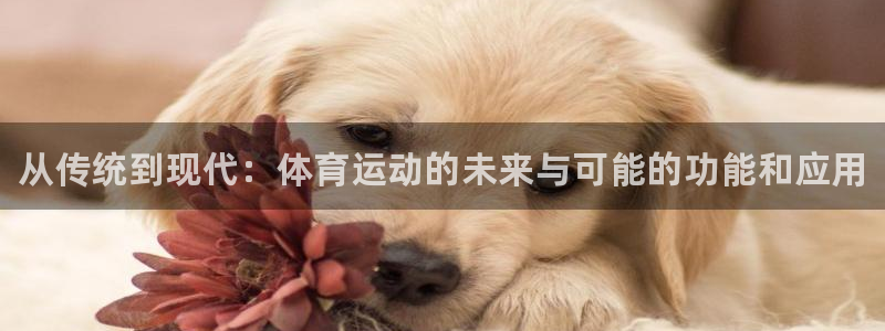哈哈体育十年：从传统到现代：体育运动的未来与可能的功能和应用