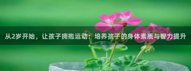 哈哈体育：从2岁开始，让孩子拥抱运动：培养孩子的身体素质与智力提升