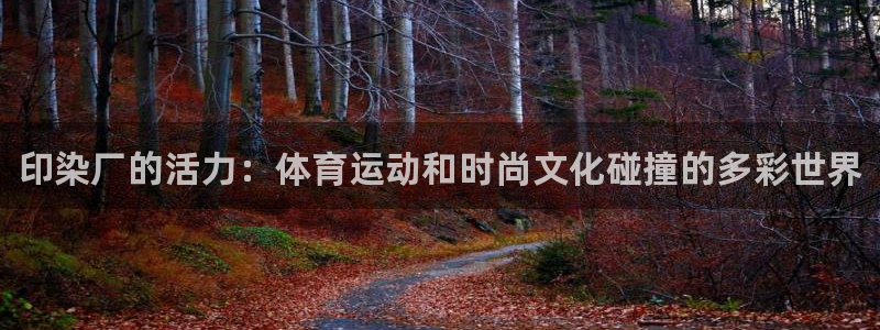哈哈体育下载：印染厂的活力：体育运动和时尚文化碰撞的多彩世界