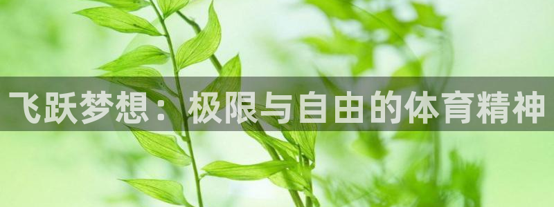 哈哈体育十年：飞跃梦想：极限与自由的体育精神