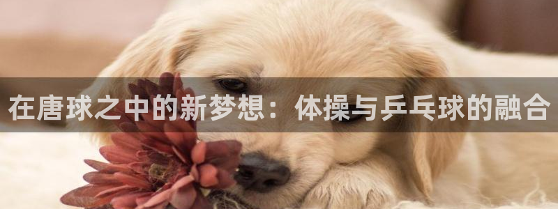 哈哈体育下载：在唐球之中的新梦想：体操与乒乓球的融合