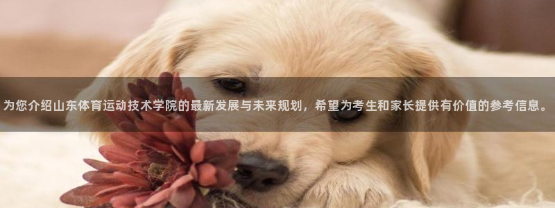 哈哈体育十年：为您介绍山东体育运动技术学院的最新发展与未来规划，希望为考生和家长提供有价值的参考信息。