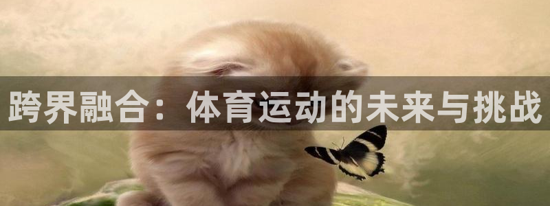 哈哈体育