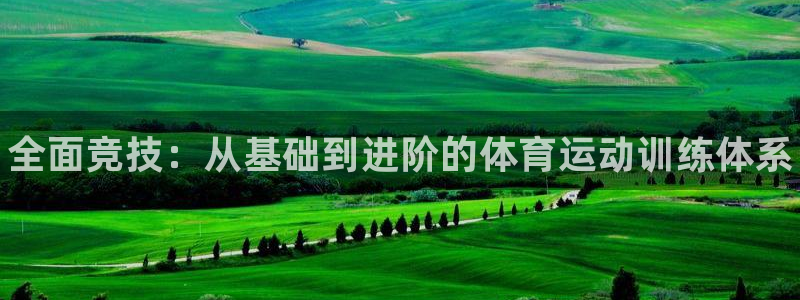 哈哈体育十年