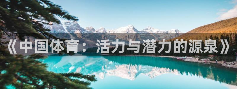 哈哈体育十年