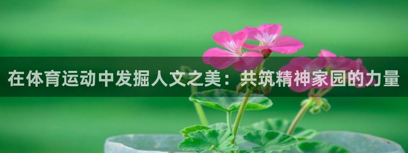 哈哈体育十年：在体育运动中发掘人文之美：共筑精神家园的力量