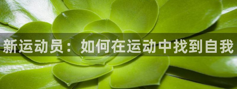 哈哈体育十年：新运动员：如何在运动中找到自我