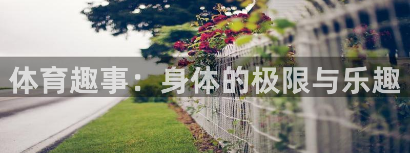 哈哈体育下载：体育趣事：身体的极限与乐趣
