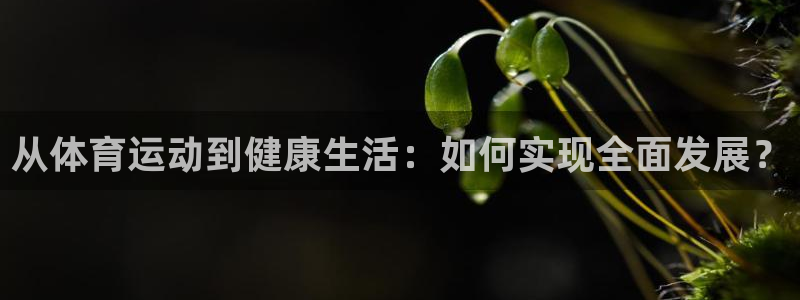 哈哈体育