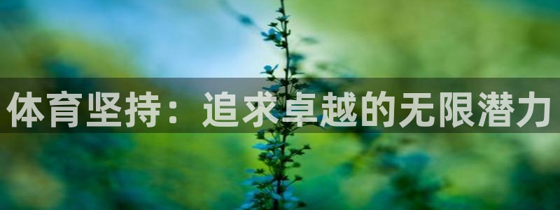 哈哈体育：体育坚持：追求卓越的无限潜力