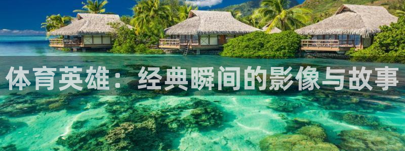 哈哈体育：体育英雄：经典瞬间的影像与故事