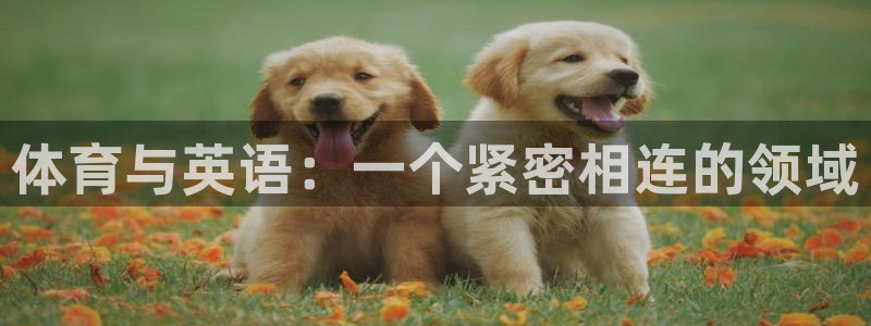 哈哈体育下载：体育与英语：一个紧密相连的领域