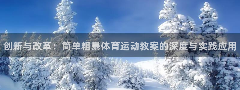 哈哈体育十年：创新与改革：简单粗暴体育运动教案的深度与实践应用