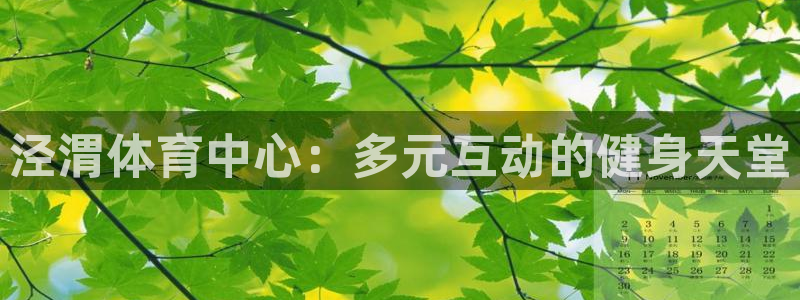 哈哈体育十年：泾渭体育中心：多元互动的健身天堂