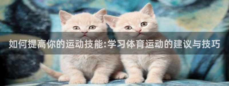 哈哈体育下载：如何提高你的运动技能:学习体育运动的建议与技巧