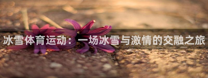 哈哈体育十年：冰雪体育运动：一场冰雪与激情的交融之旅