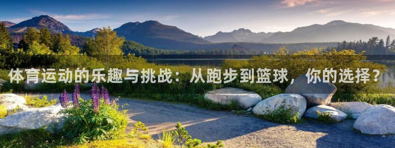 哈哈体育下载：体育运动的乐趣与挑战：从跑步到篮球，你的选择？