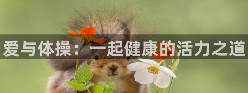 哈哈体育十年：爱与体操：一起健康的活力之道