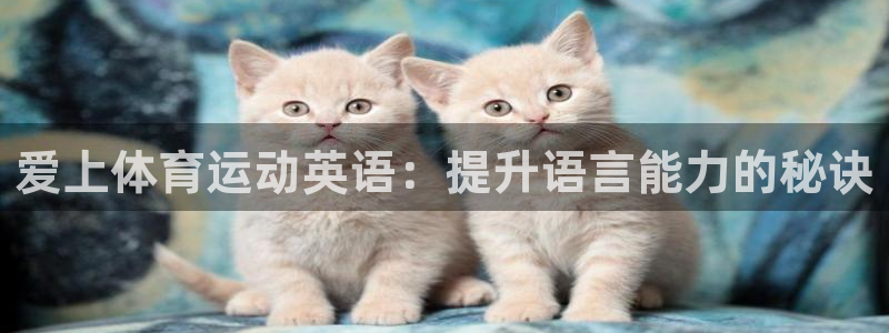 哈哈体育十年：爱上体育运动英语：提升语言能力的秘诀