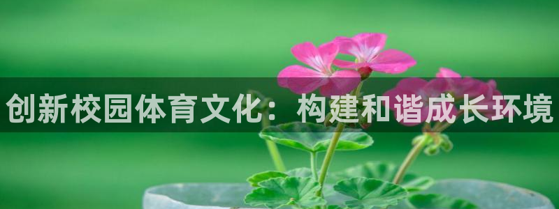 哈哈体育：创新校园体育文化：构建和谐成长环境