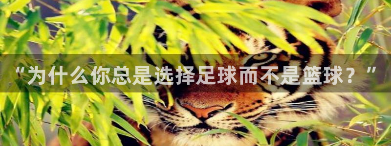 哈哈体育：“为什么你总是选择足球而不是篮球？”